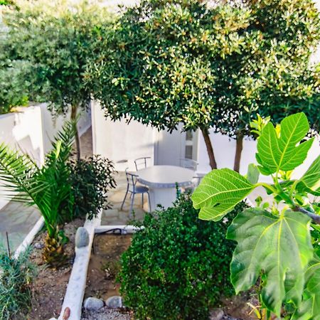 Zisis Pension Agios Stefanos  Exterior foto