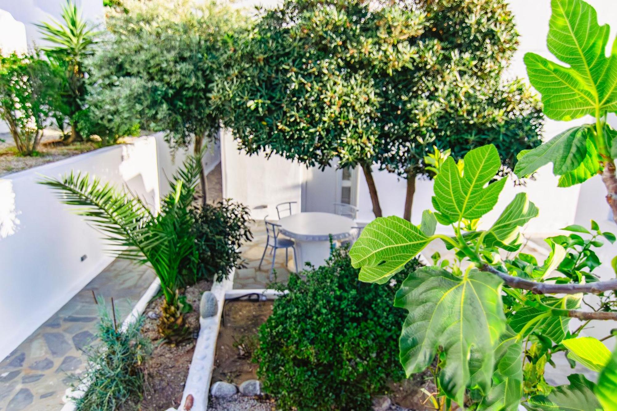 Zisis Pension Agios Stefanos  Exterior foto